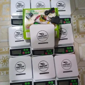 Digital Kitchan Scale2