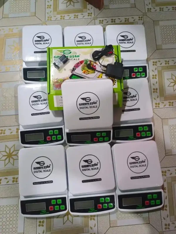 Digital Kitchan Scale2